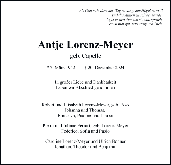 Traueranzeige von Antje Lorenz-Meyer von Hamburger Abendblatt